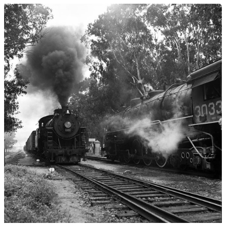 Steam trains on railway tracks with steam billowing from the chimneys, surrounded by trees.