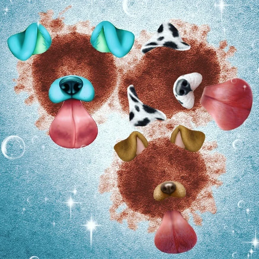 Sara Andersdotter, Becoming-Instanimal [animal selfie # 42], 2020
#becoming #becominganimal #becominginstanimal #nonhumannarratives #contemporaryart #contemporaryartist #instagramart #nonhumanphotography #practicebasedresearch #art #artist #dog #arti