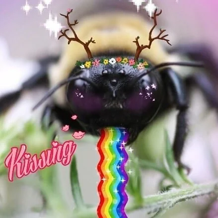 Sara Andersdotter, Becoming-Instanimal [animal selfie # 38], 2020
#becoming #becominganimal #becominginstanimal #nonhumannarratives #contemporaryart #contemporaryartist #instagramart #nonhumanphotography #practicebasedresearch #art #artist  #artistso