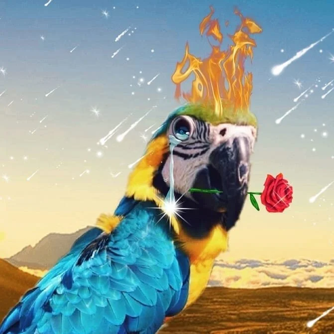 Sara Andersdotter, Becoming-Instanimal [animal selfie # 54], 2020
#becoming #becominganimal #becominginstanimal #nonhumannarratives #contemporaryart #contemporaryartist #nonhumanphotography #practicebasedresearch #art #artist #birds #artistsoninstagr