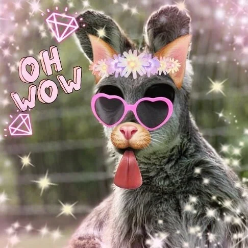 Sara Andersdotter, Becoming-Instanimal [animal selfie # 79], 2020
#becoming #becominganimal #becominginstanimal #nonhumannarratives #contemporaryart #contemporaryartist #instagramart #nonhumanphotography #practicebasedresearch #ohwow #art #artist #ca