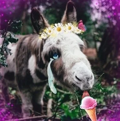 Sara Andersdotter, Becoming-Instanimal [animal selfie # 21], 2020
#becoming #becominganimal #becominginstanimal #nonhumannarratives #contemporaryart #contemporaryartist #instagramart #nonhumanphotography #practicebasedresearch #tongue #art #artist #t