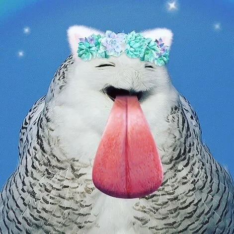 Sara Andersdotter, Becoming-Instanimal [animal selfie # 32], 2019
#becoming #becominganimal #becominginstanimal #nonhumannarratives #contemporaryart #contemporaryartist #instagramart #nonhumanphotography #practicebasedresearch #deleuze #art #artist #