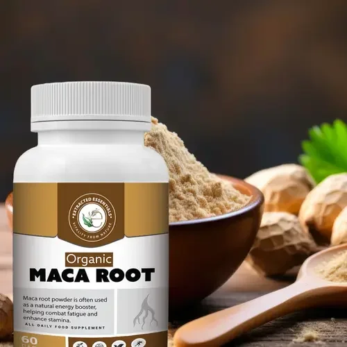 macca-root-1.webp