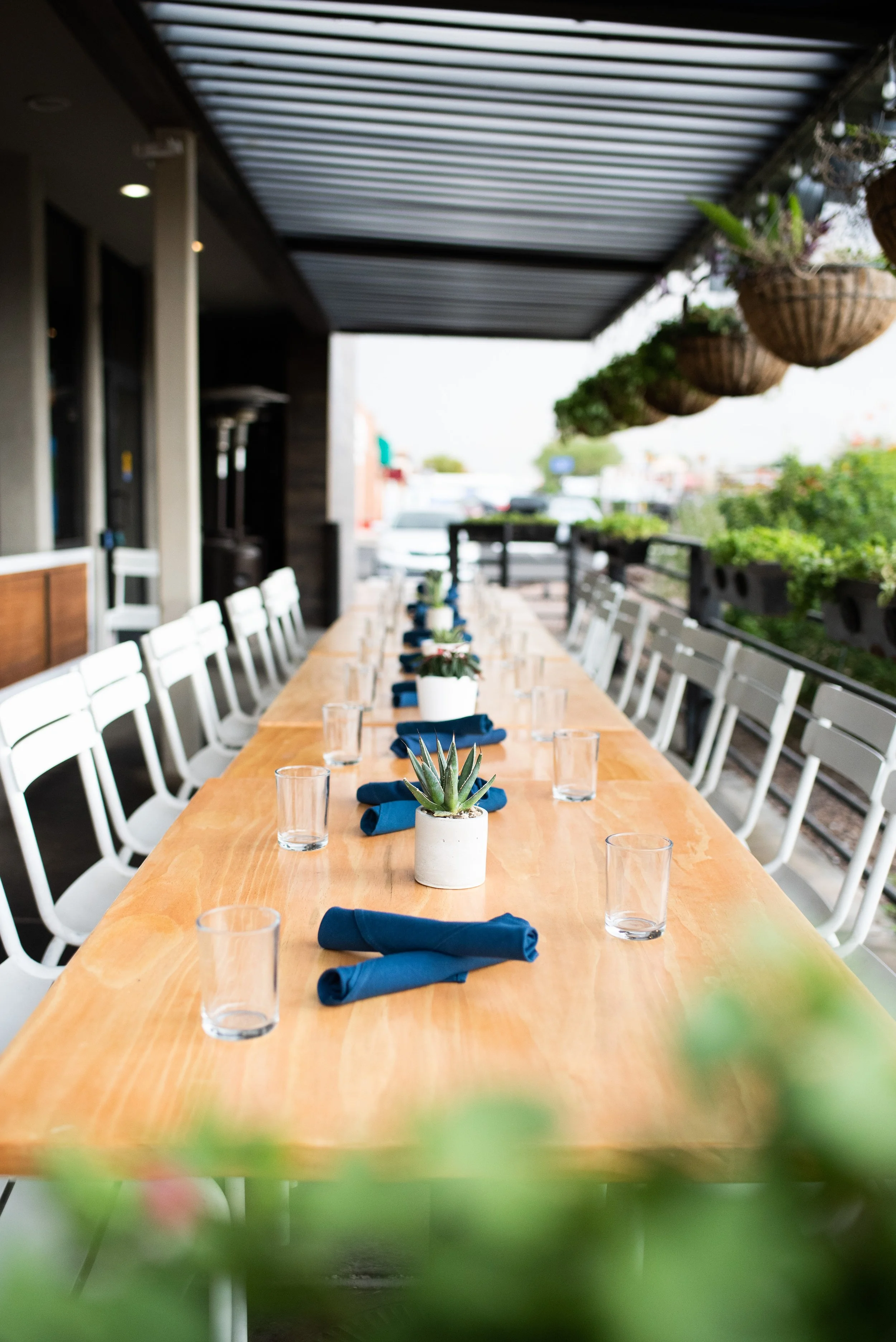 The interior dining space at Prep & Pastry Campbell Ave, showing a sage green tufted booth, white bistro chairs, and wall-mounted plants..jpg