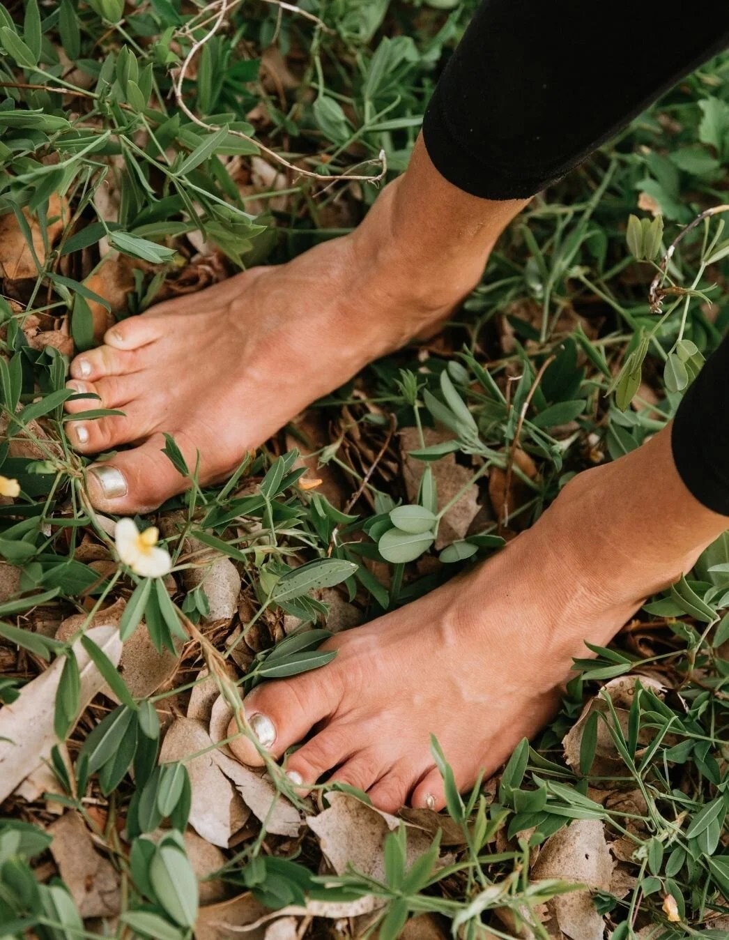 Alli Koski Soul Coach - Home Page 7.jpg