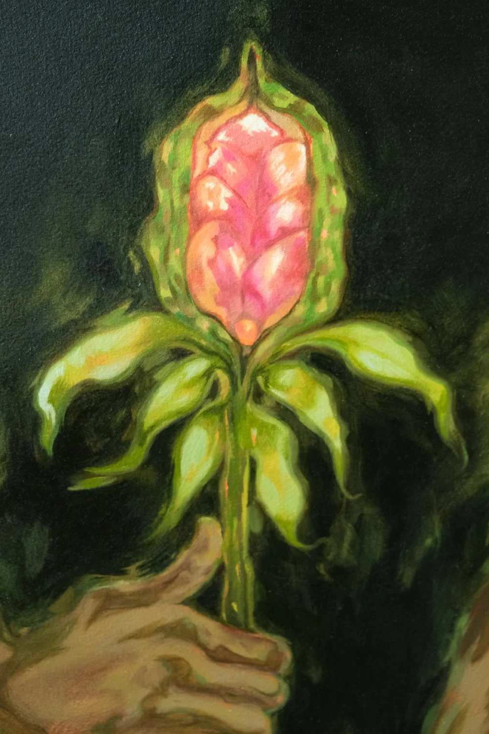 DSCF6134.jpg