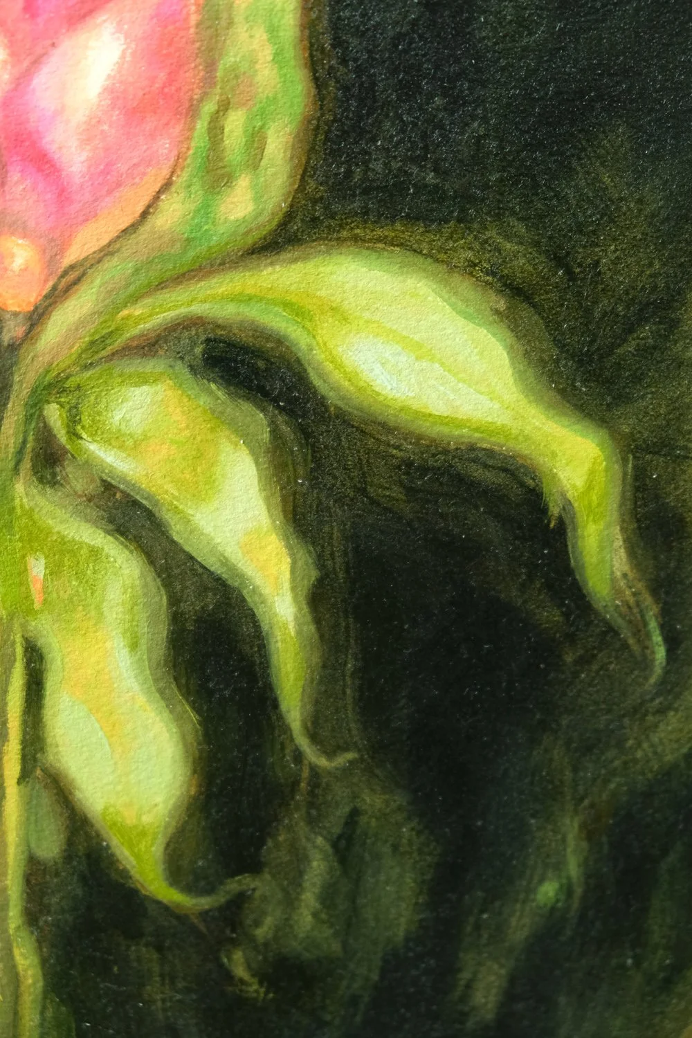 DSCF6137.jpg