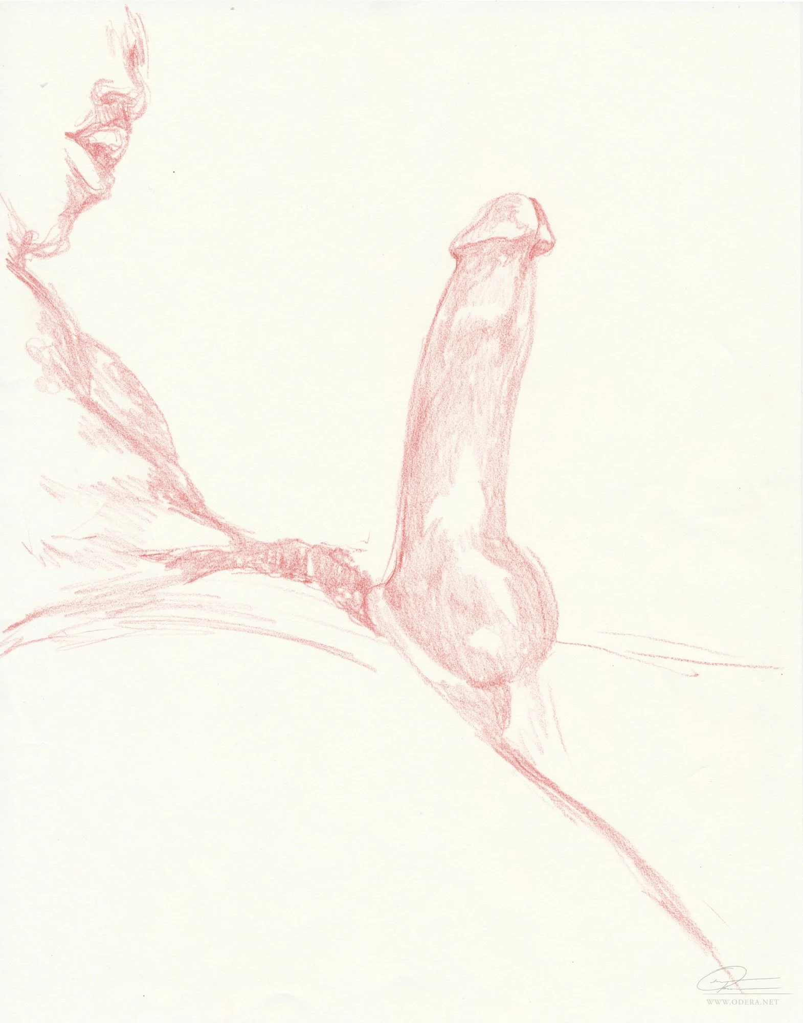 2026-07-10-0006.jpg