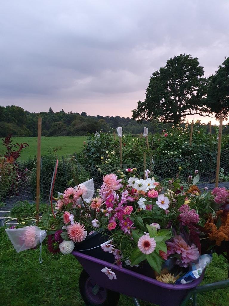 DINING IN THE DAHLIAS RETREAT STYLE WORKSHOP BY LITTLE PINK GARDEN X MAGIC FLOWERS