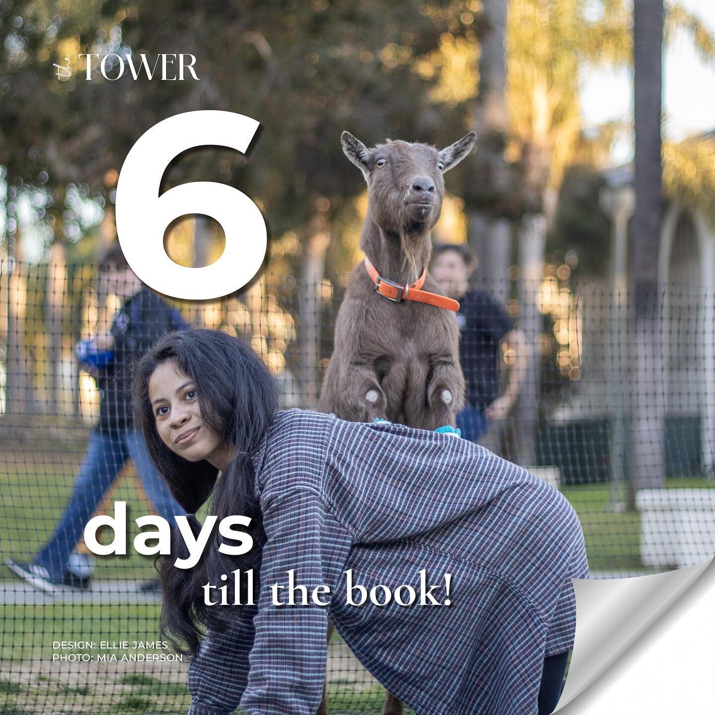 6 days until the 2023 Tower Yearbook reveal! We hope you&rsquo;re just as excited as our Tower staff! Check out our distribution dates on the next slide!

Photo: Mia Anderson | Tower

For more information about distribution, visit our website or clic