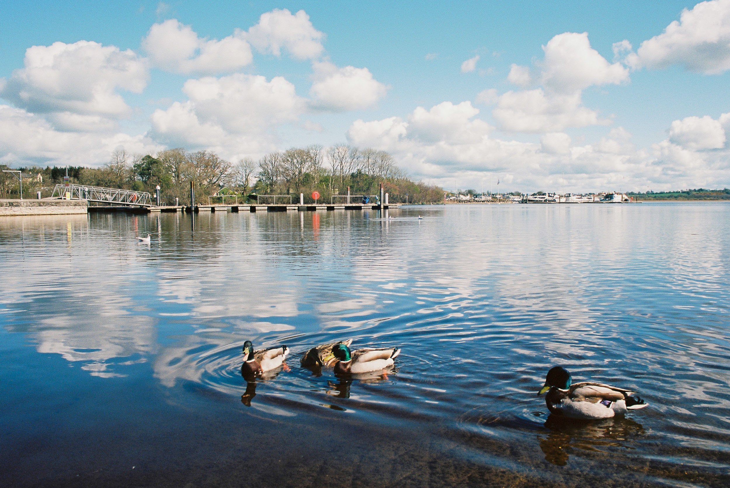 lough_ennel--1.jpg