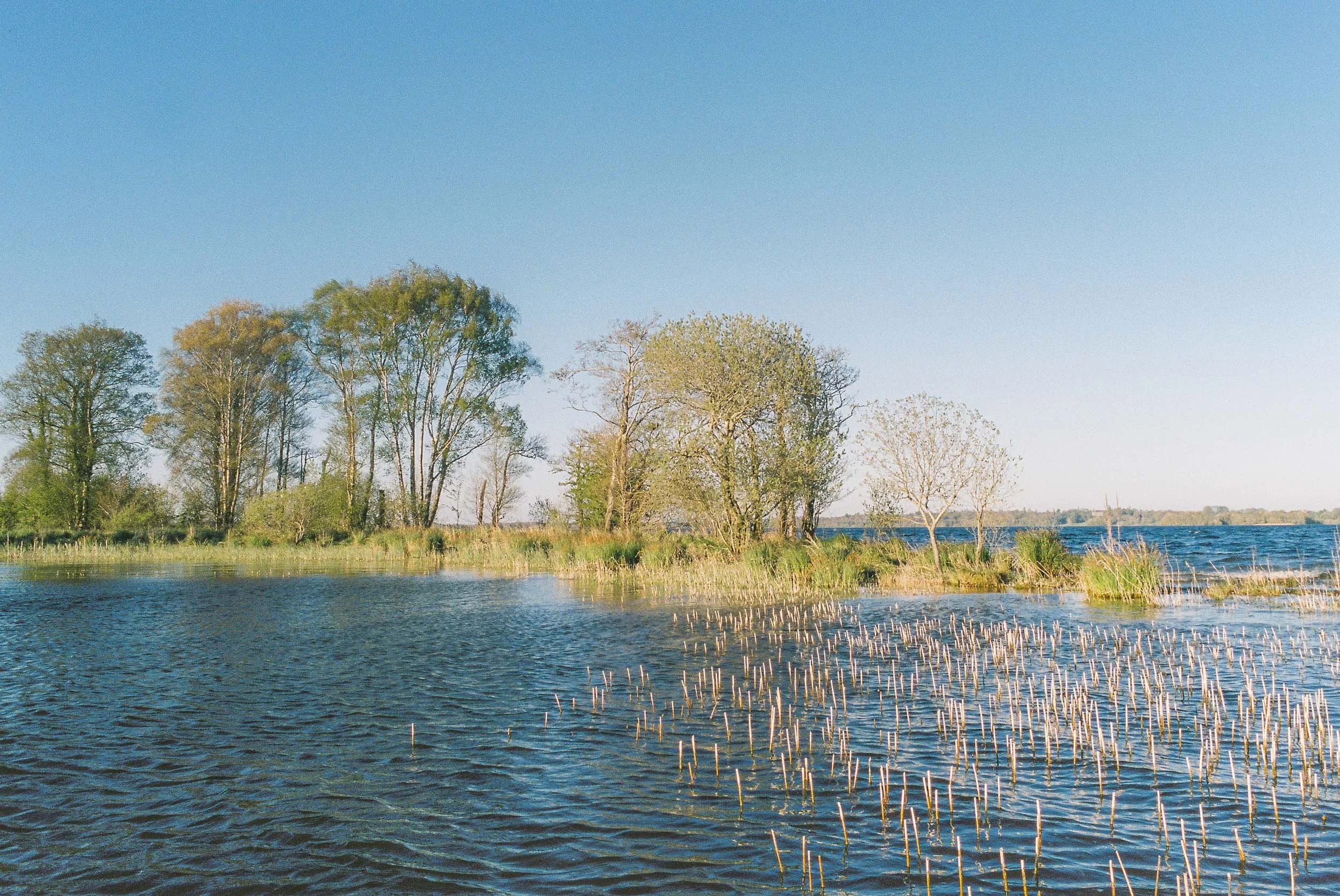 lough_ennel--1-3.jpg