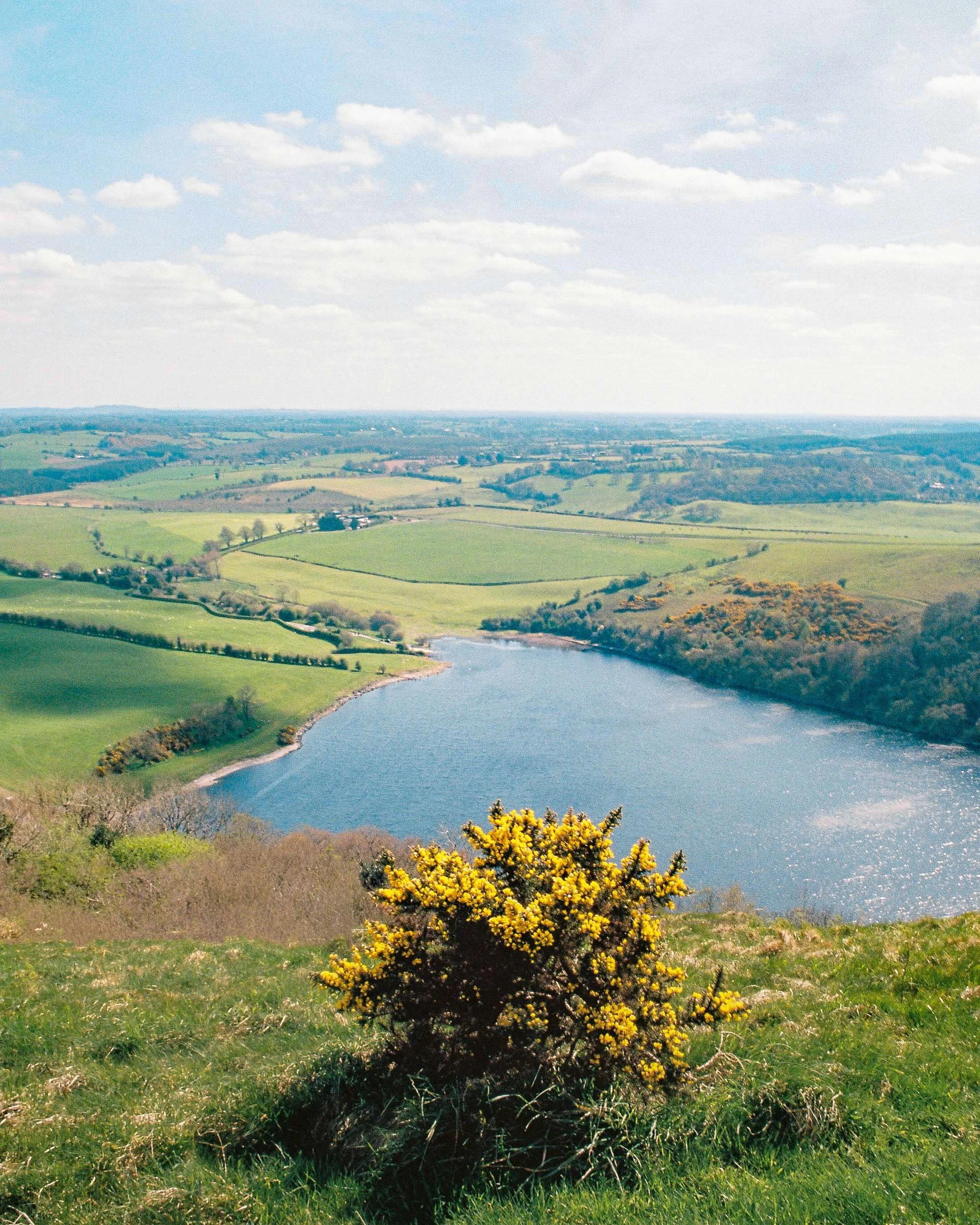 lough_ennel--1-3.jpg