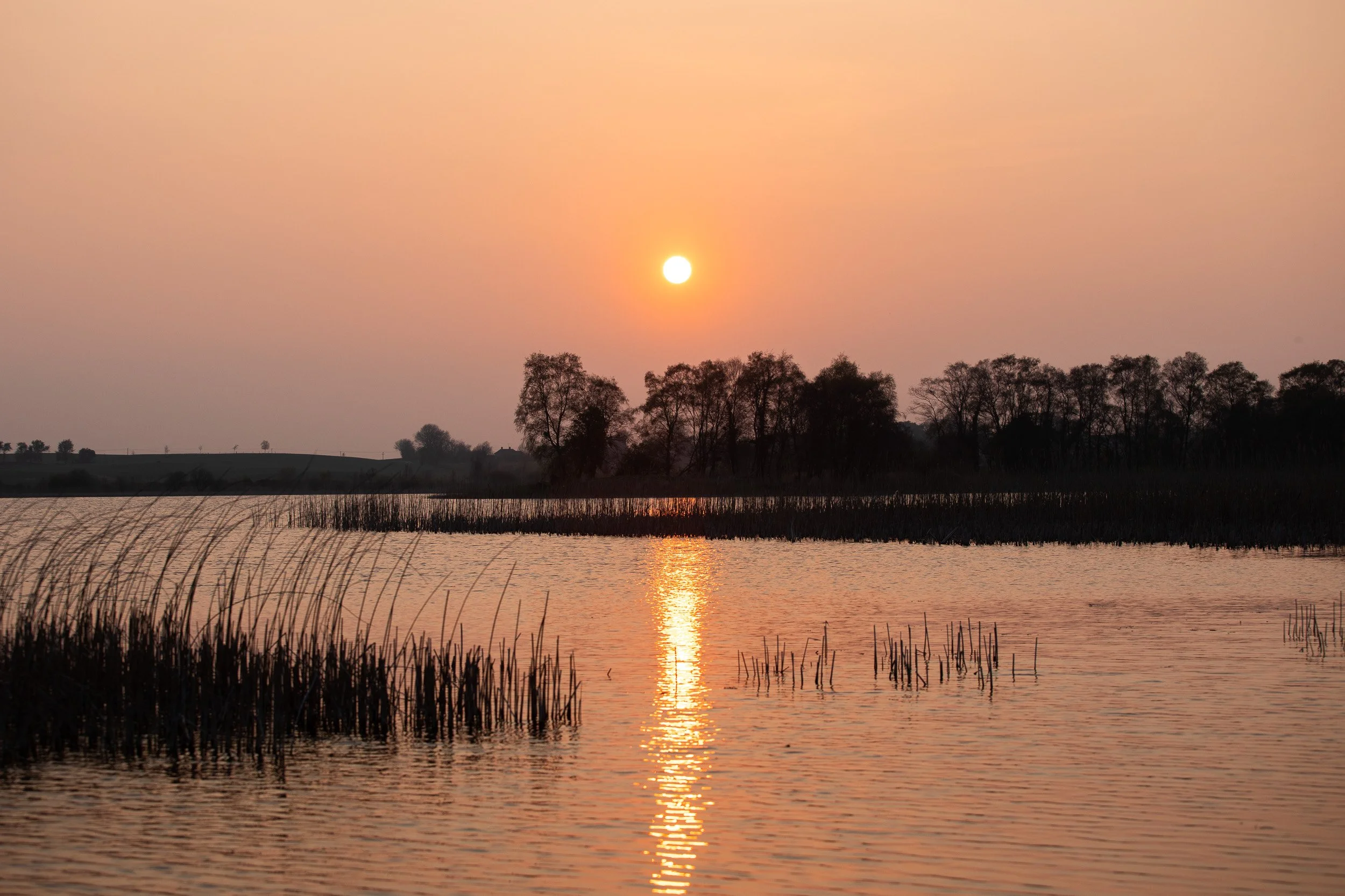 lough_ennel--1.jpg