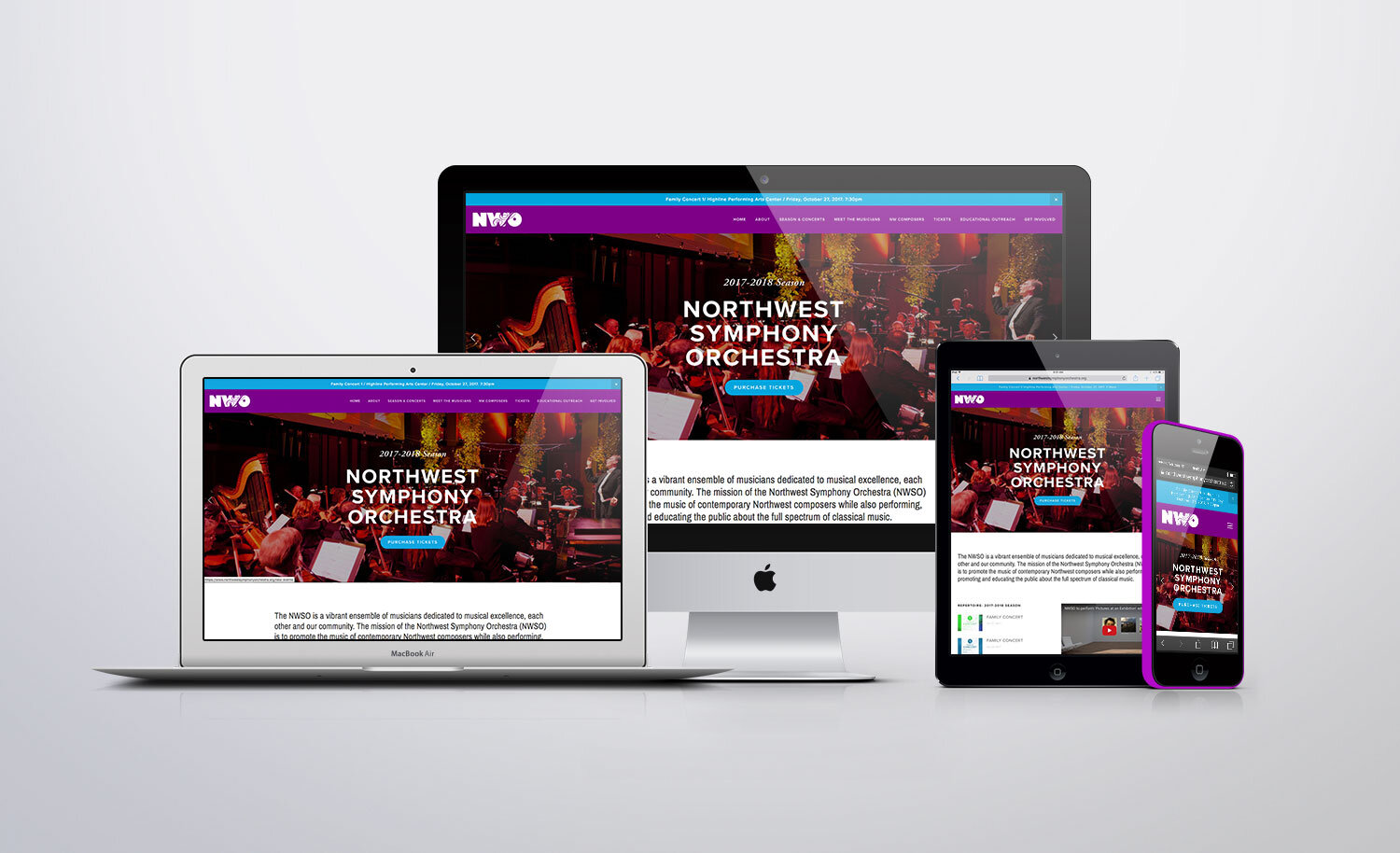 NWSO Website Design Responsive