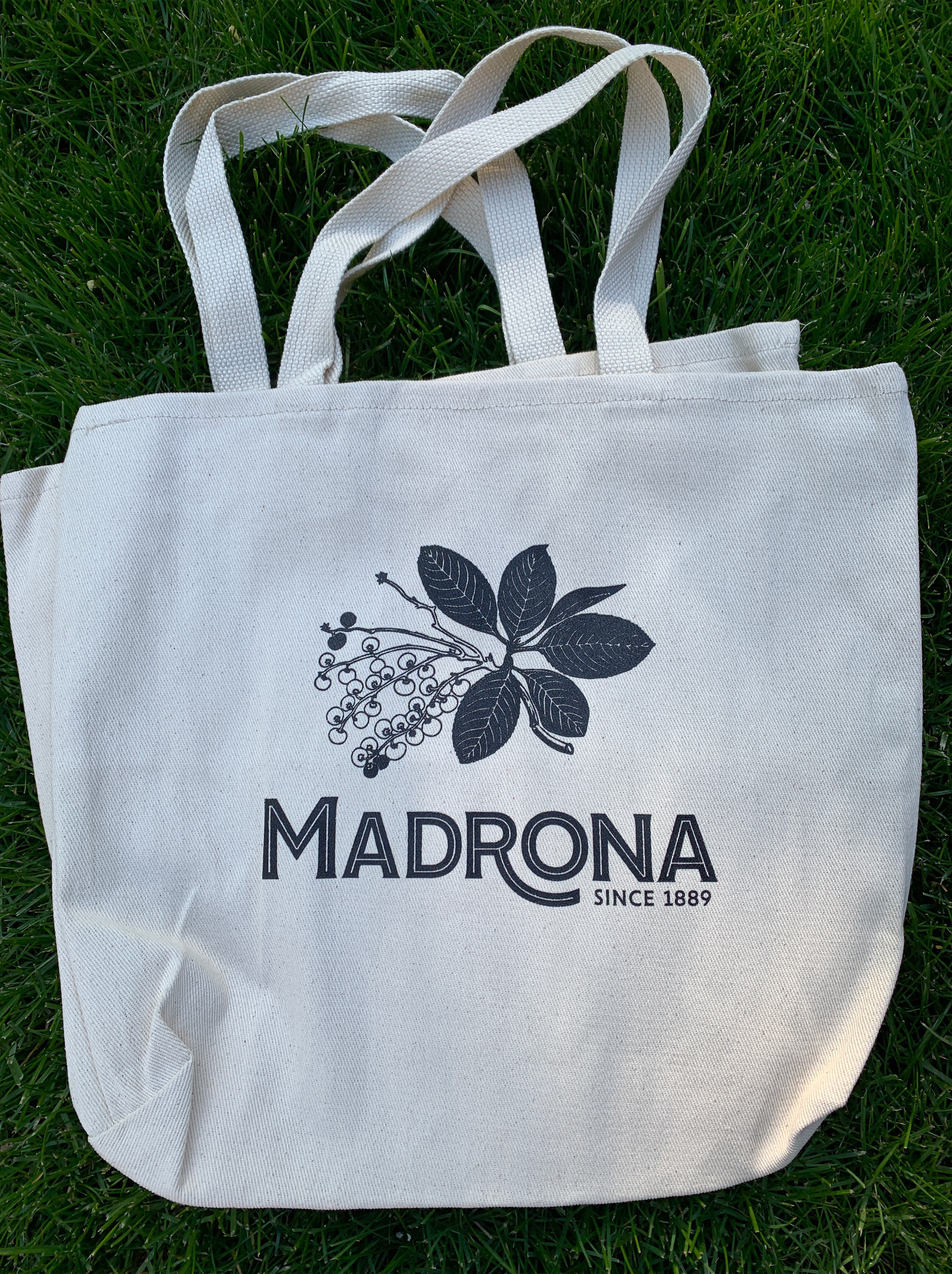 madrona_street_fair_.3psd.png