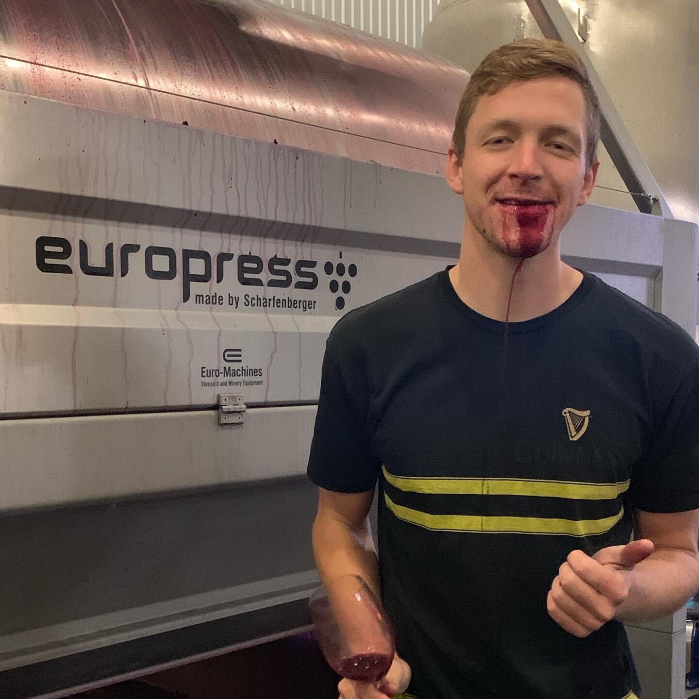 I may look tired, but I promise you the excitement is real. Gamay Noir &lsquo;19 is going to be 🔥, the best yet!