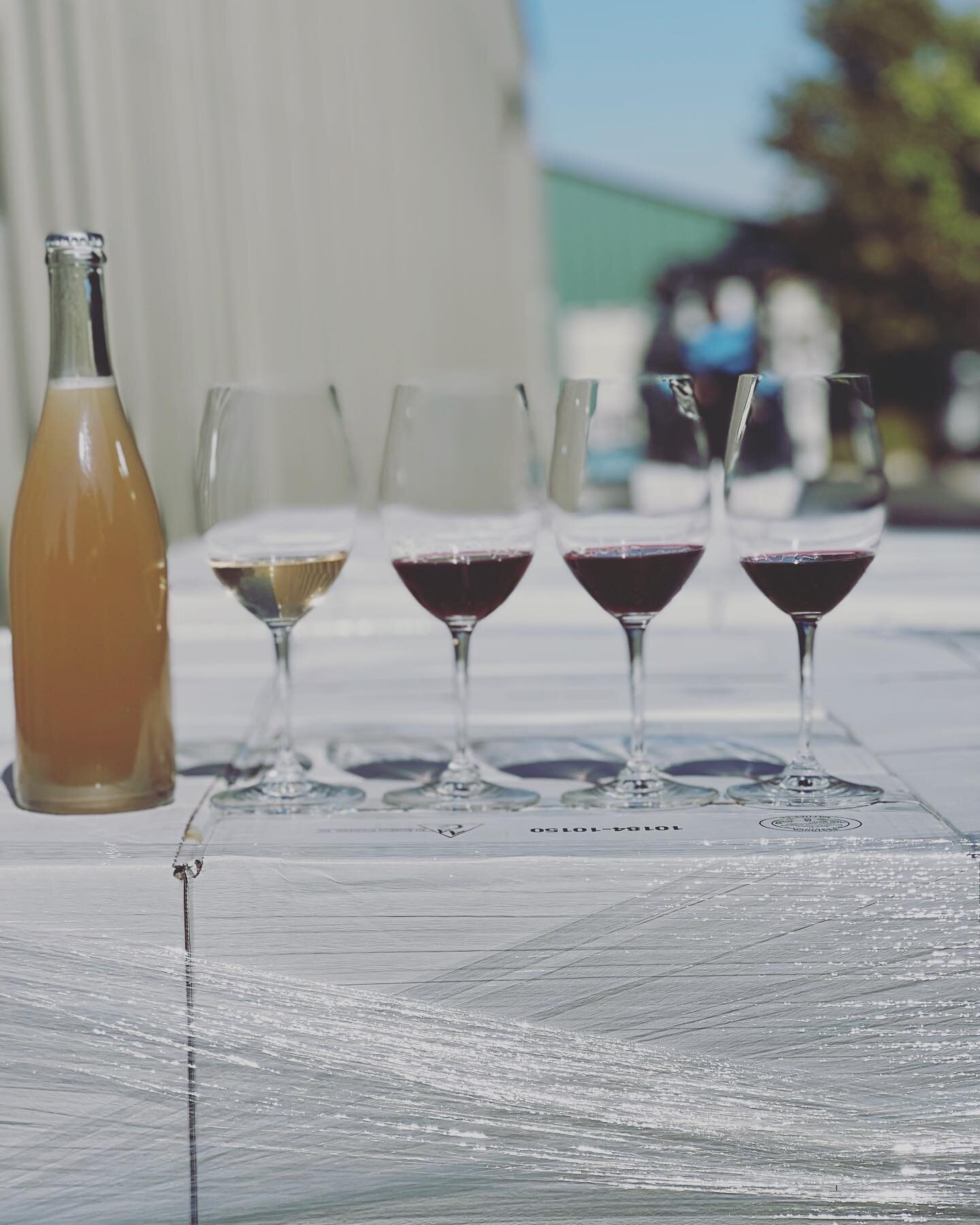 First full taste of the 2022 vintage&hellip;
5 wines, 3 colors, 2 vineyards, 100% Gamay, 100% Central Coast. Love working with a varietal that allows me to make so many different and unique wines!