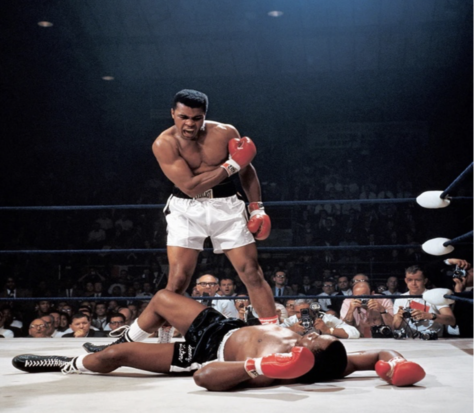 The Fighter