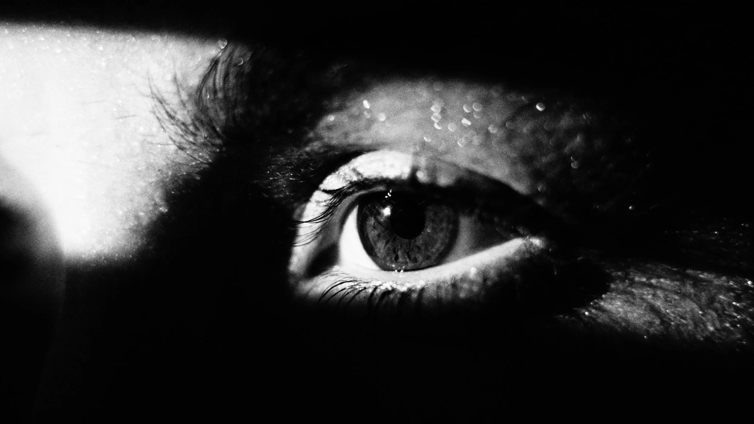 Pulse Vid Stills_1.14.1.jpg