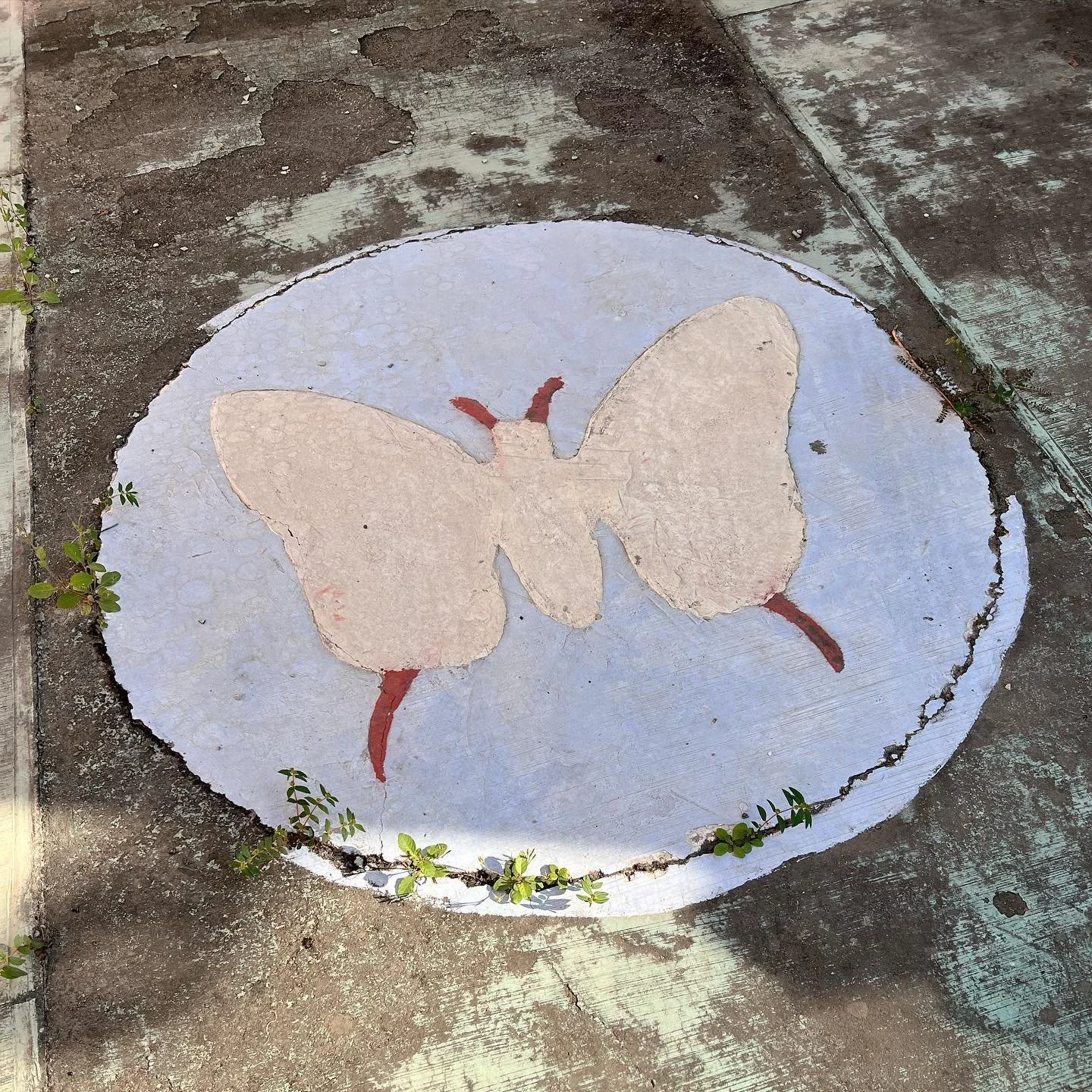 still thinking about Mexico and the refreshing inspiring colorful breath of fresh air it always provides 🌞 it was a much needed time with family to eat good food and laugh and dream about the future. Looking forward to getting back in the studio tod