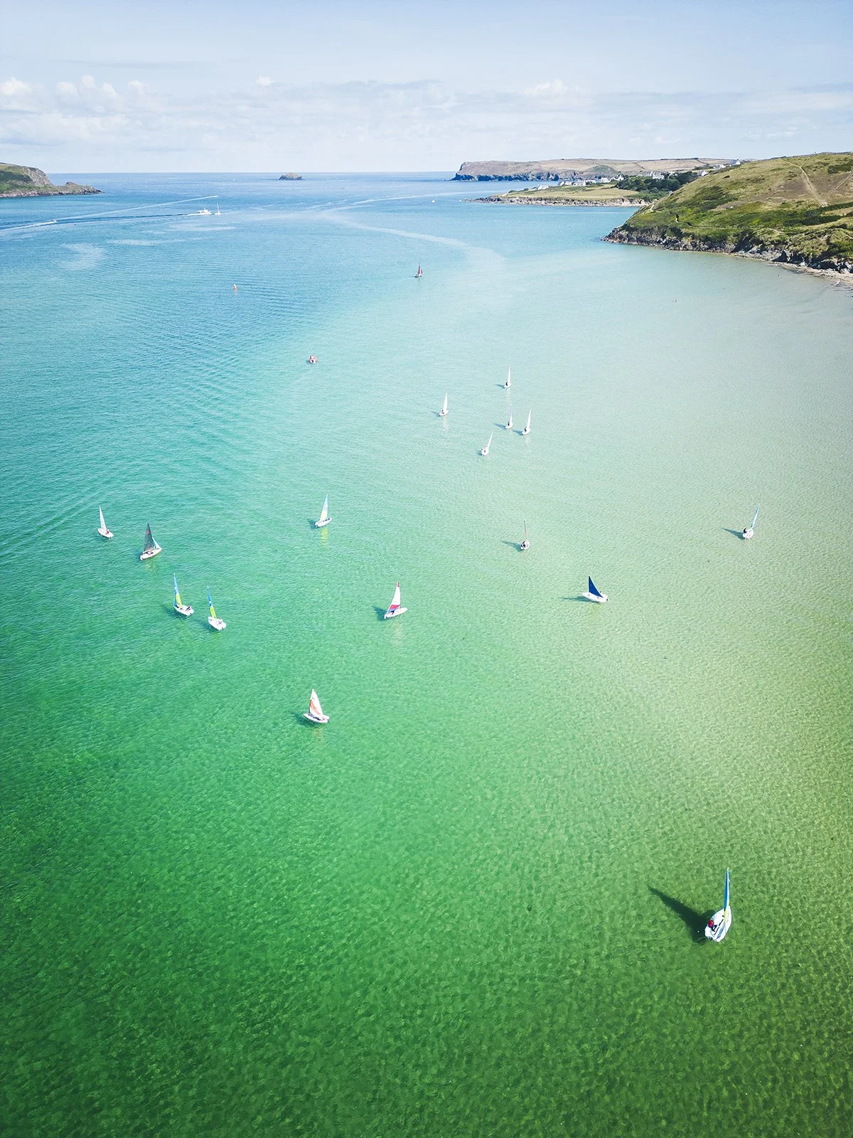 Camel Sailing Week 25 Print 1