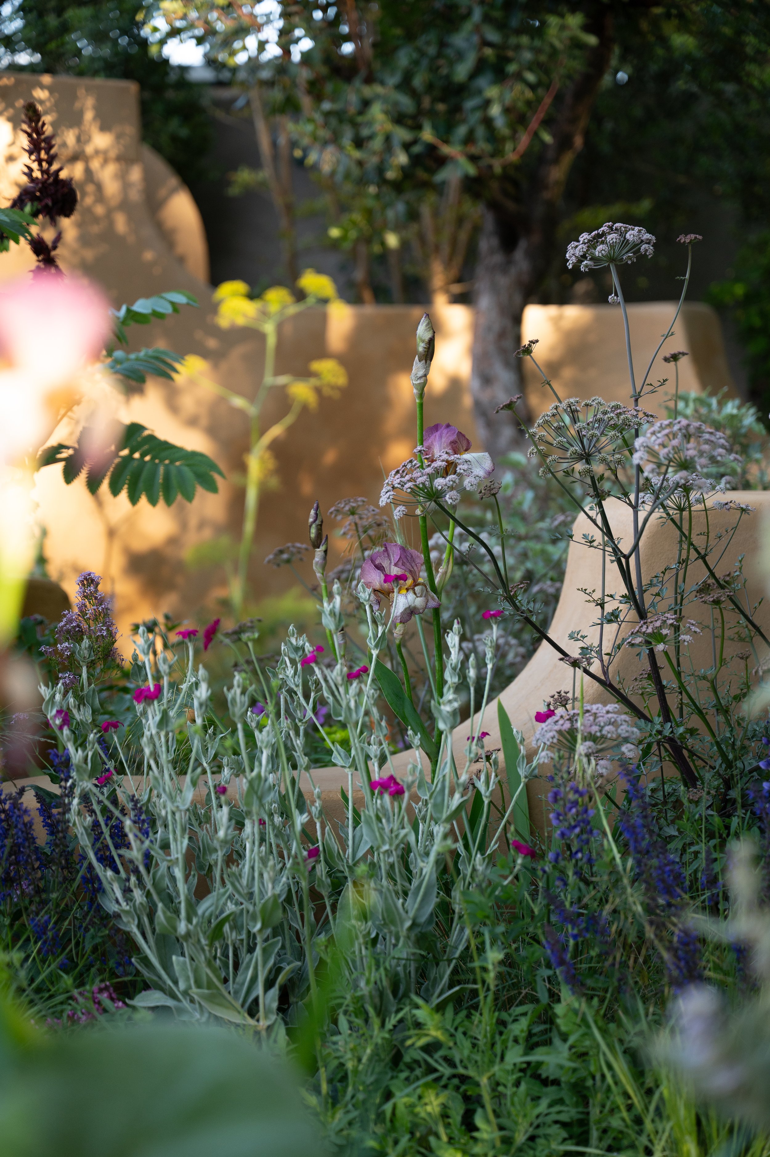 Doon-Williams-Darren-Hawkes-Lady-Garden-foundarion-May-26-3.jpg