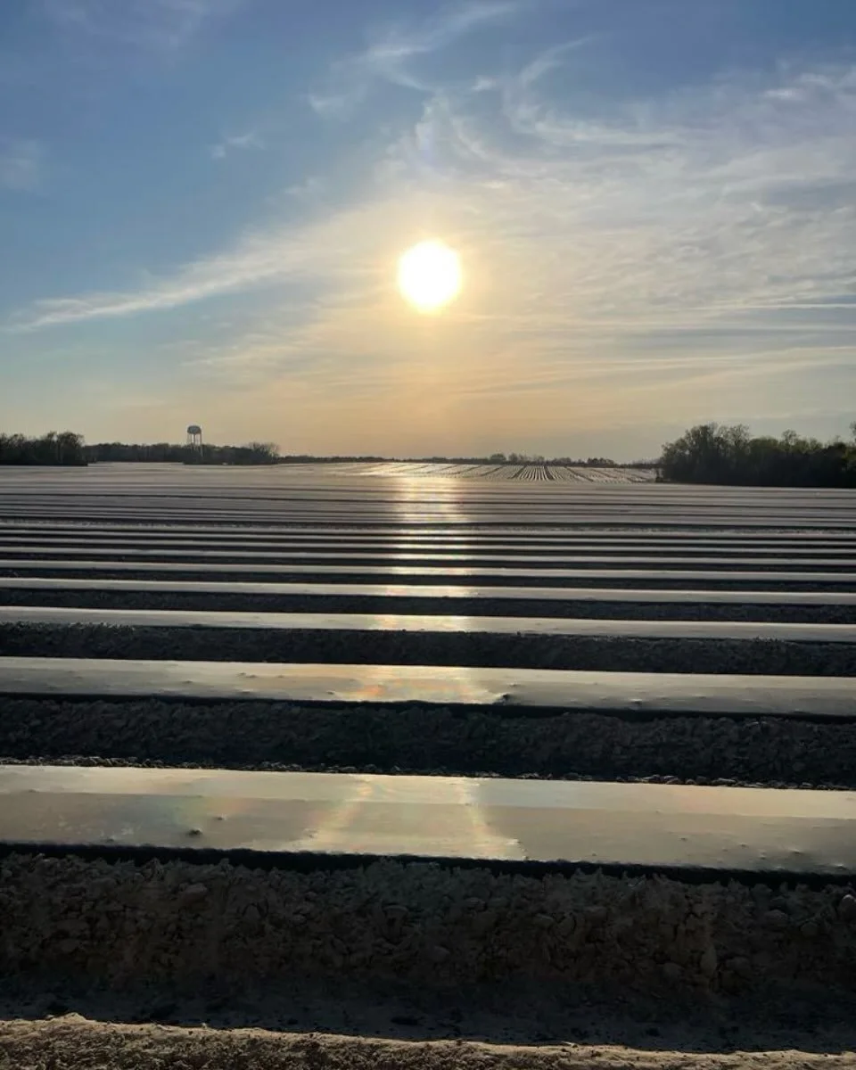 When one of your main men sends this photo with a message that &ldquo;it&rsquo;s going to be a very good year&rdquo;, how can you not feel hopeful and thankful! 
Prayers for this field to be full of delicious and juicy watermelons this summer! 
🍉☀️?