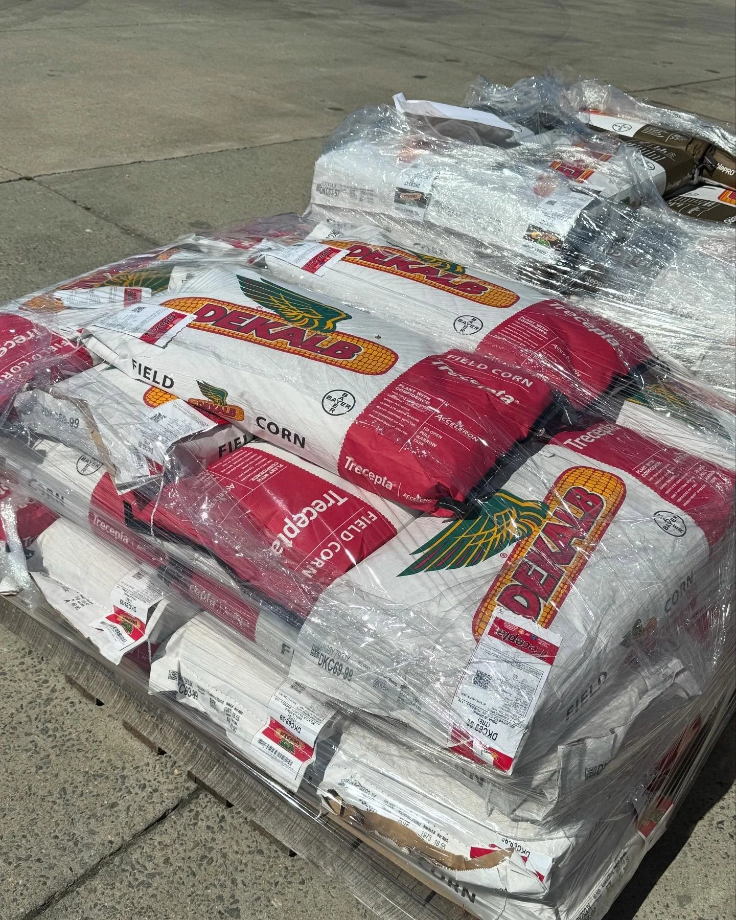 It&rsquo;s National Agriculture Day and ag doesn&rsquo;t start around here without seeds. 

🌽 Corn seed has been delivered for planting next month;
🍠🛏️ We finished our seed beds for our sweetpotato crop last week;
🍃 🍂 and the tobacco seeds sown 