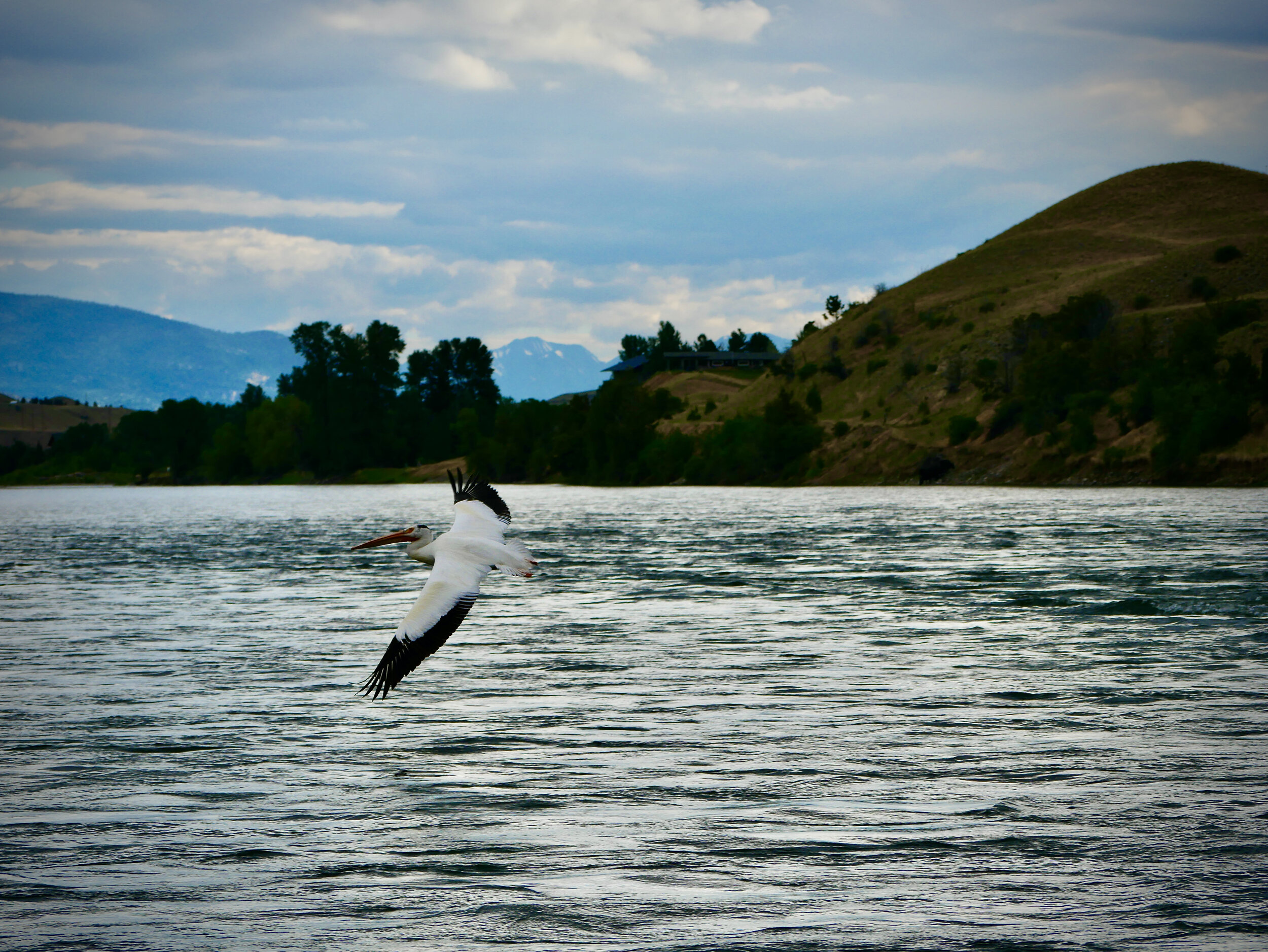 098023AC-F69A-4166-A6E6-AC6EF9D85290_1_201_a.jpeg