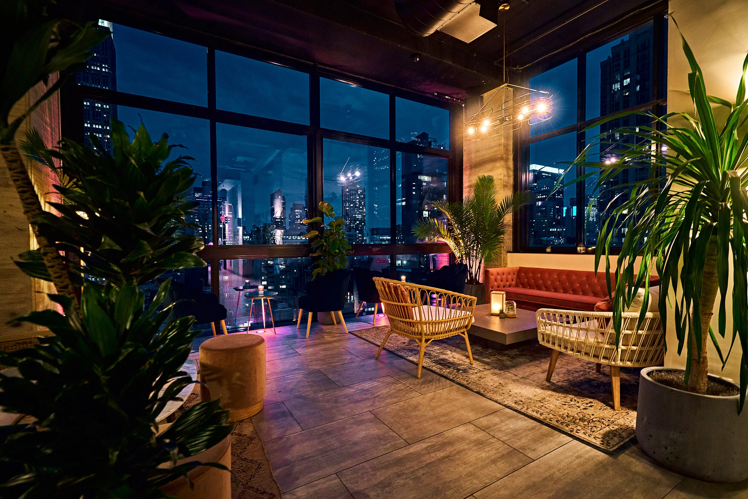 Daintree Rooftop & Lounge
