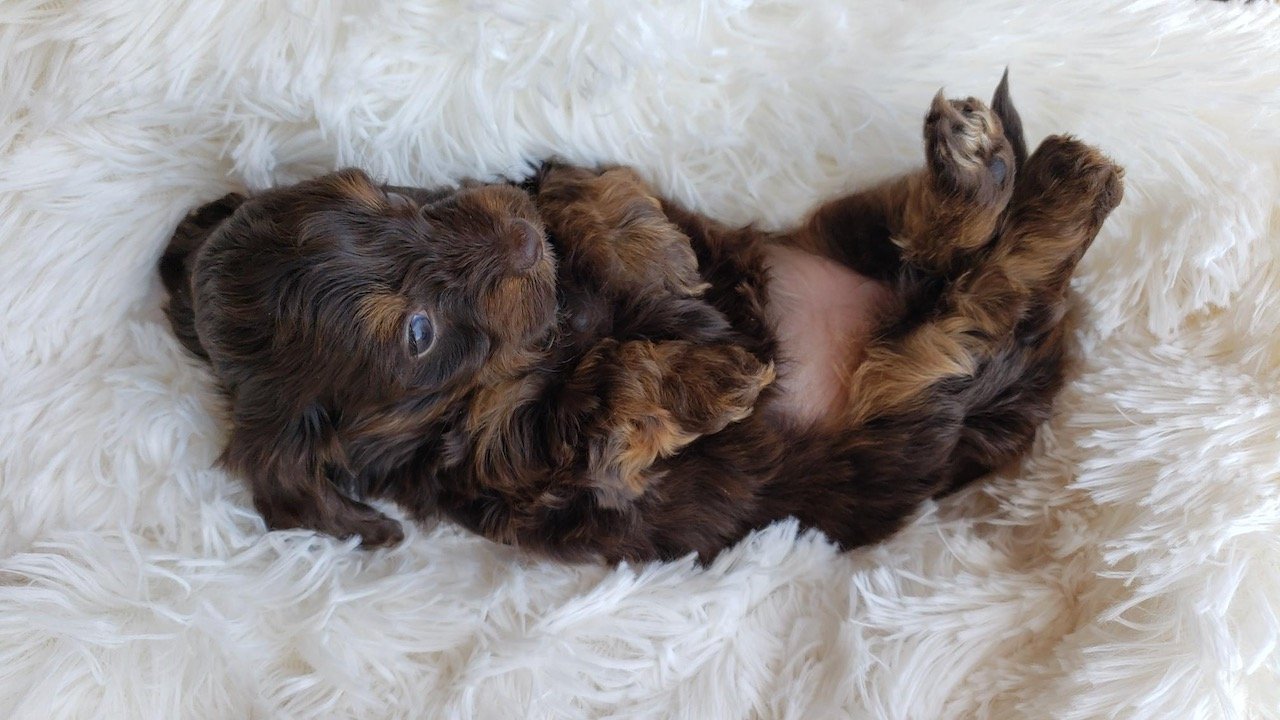Click to enlarge Lucy's adorable photos!