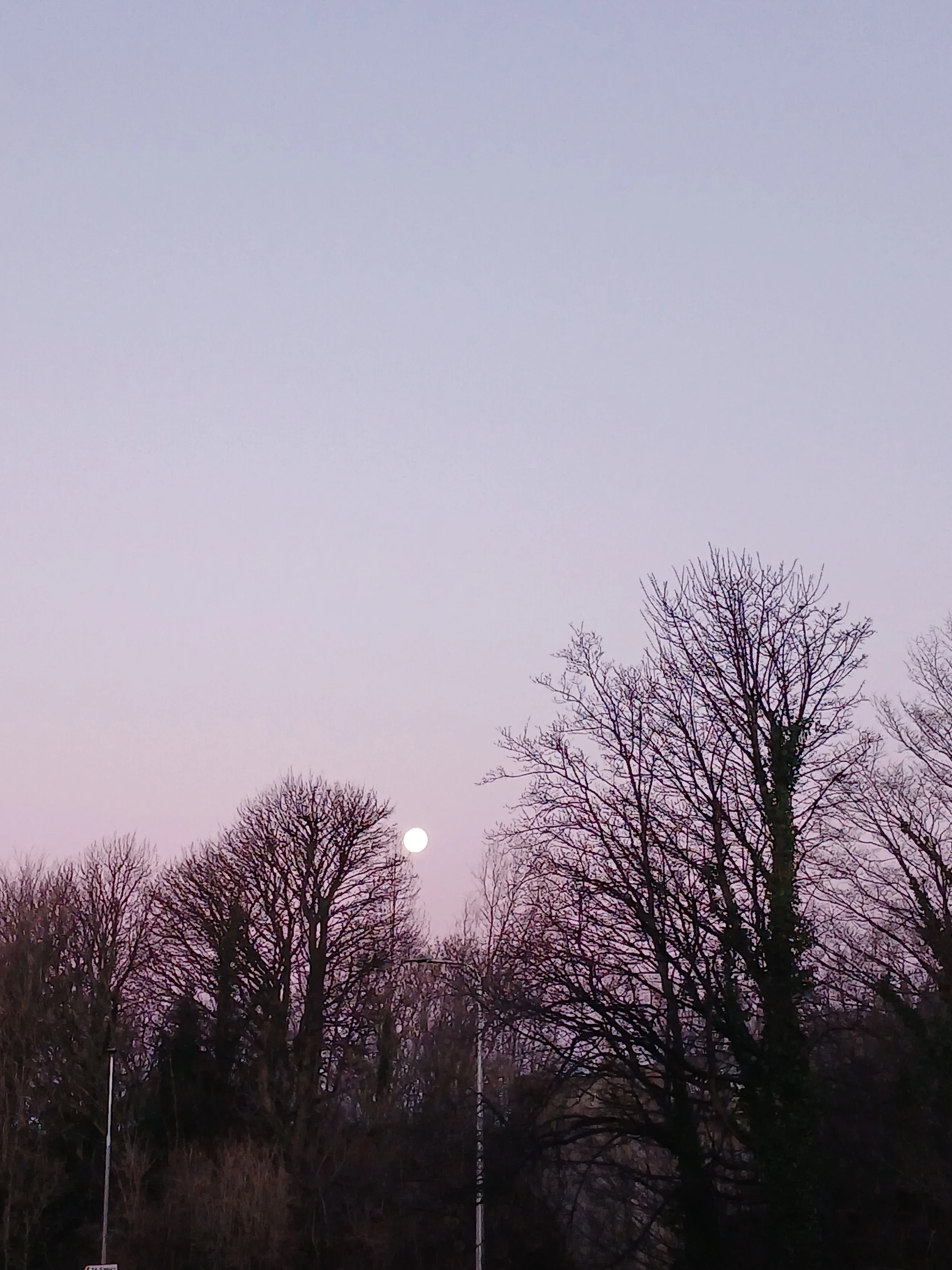 Phases of Motherhood