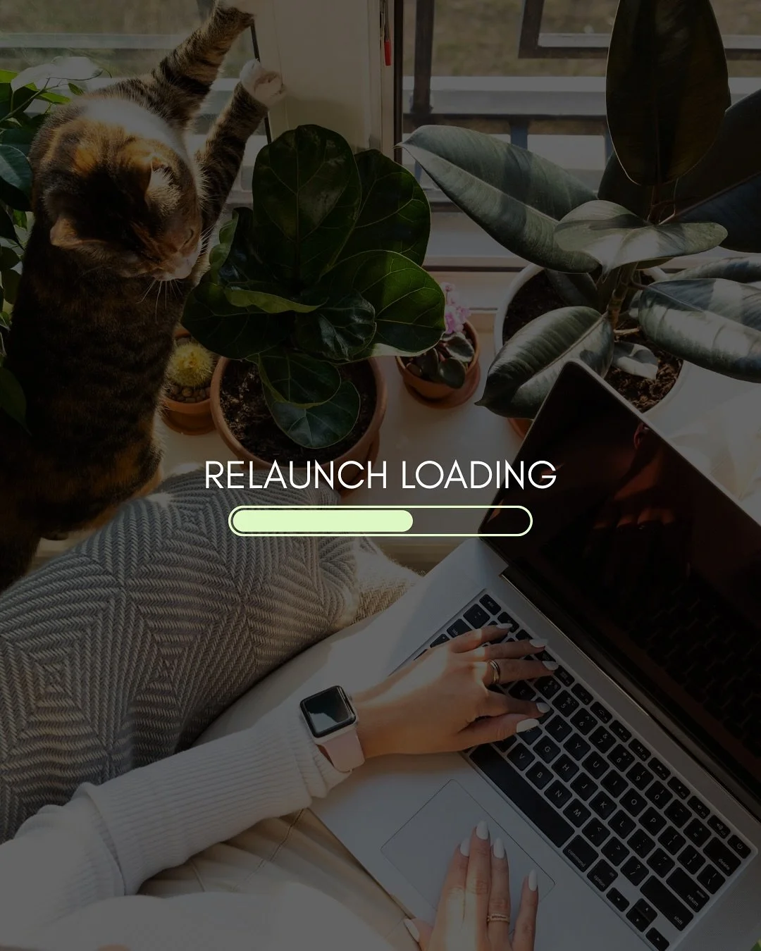 Co-Working Lounge relaunch loading&hellip;

Just let me get my ducks in a row first 🦆🦆🦆

If you are on the email list, you will see updates this week✨

Exciting things happenin&rsquo;
💕🪩⚡️