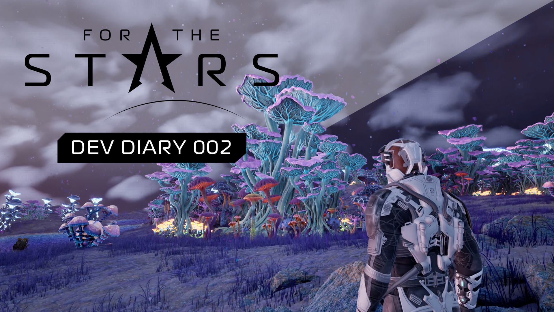 For the Stars Dev Diary 2