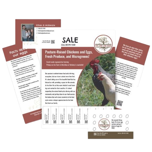 Branded informational and promotional print pieces designed as part of a cohesive small-business identity.
