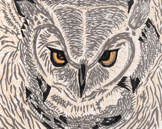 714-Owl-large.jpg