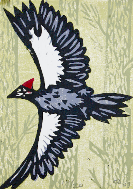 716 Piliated Woodpecker, Green   Background.jpeg