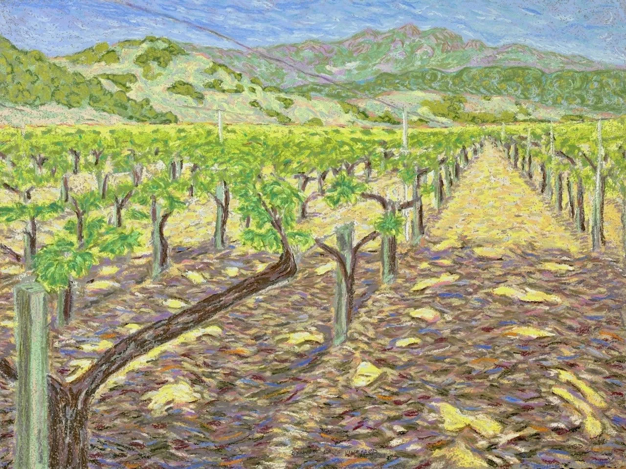 V2. BENNETT LANE VINEYARD SPRING.jpeg