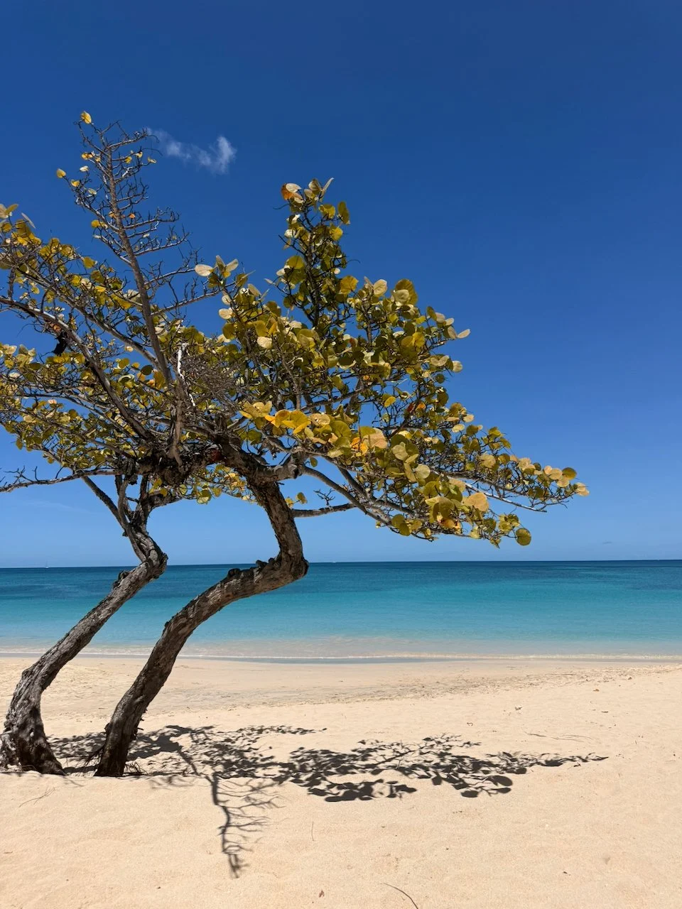 Destination Debrief: Grenada