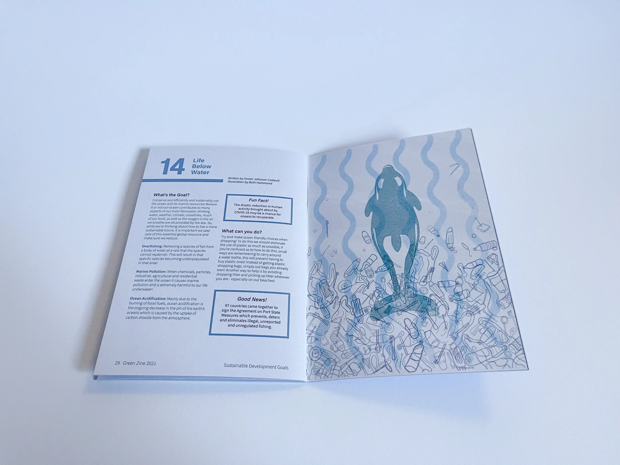 SDG Zine-10.jpg