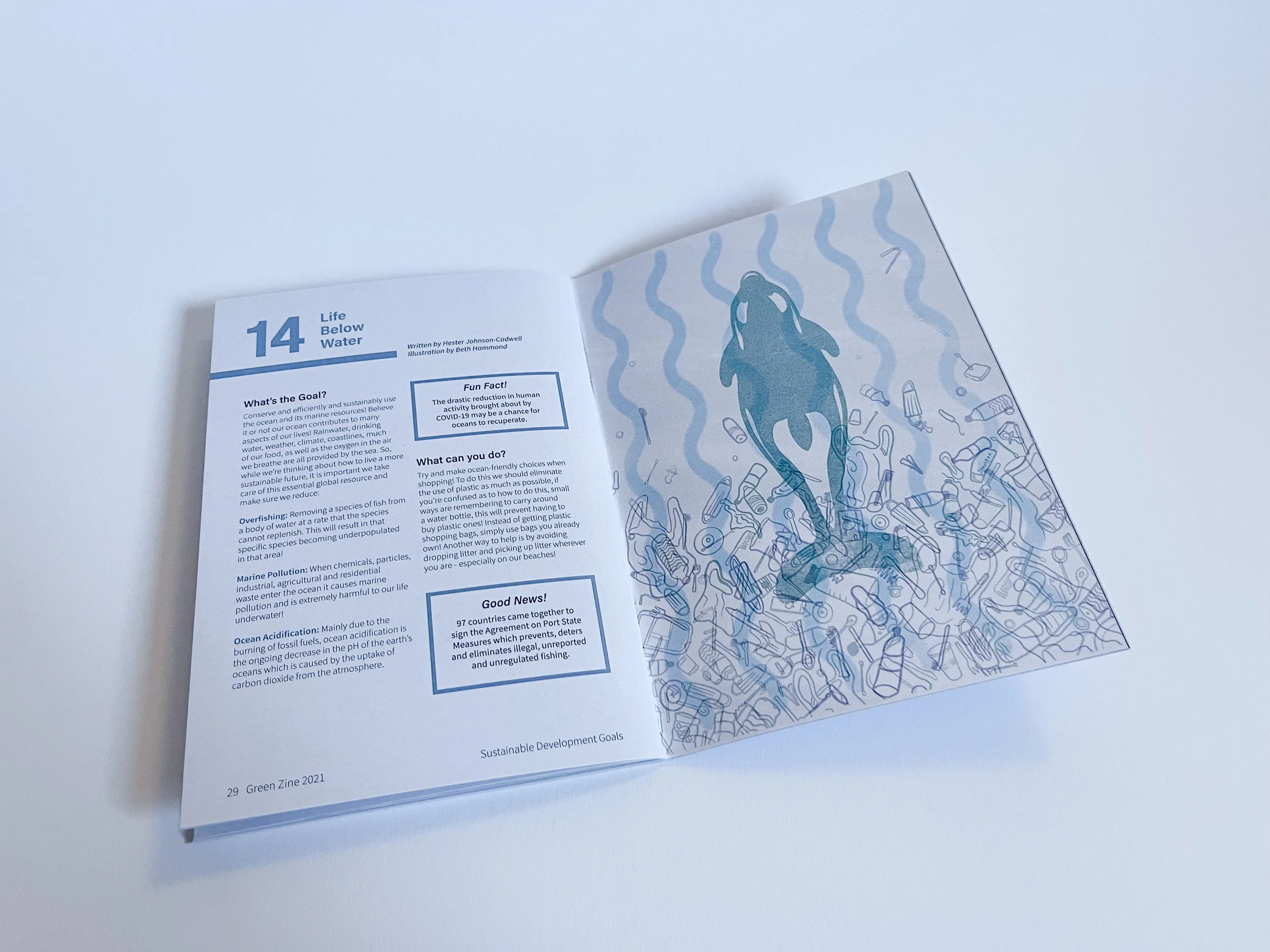 SDG Zine-11.jpg