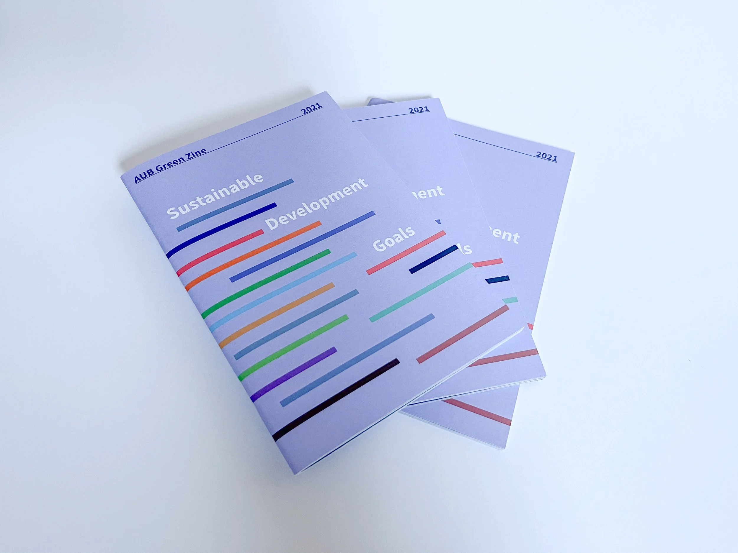 SDG Zine.jpg
