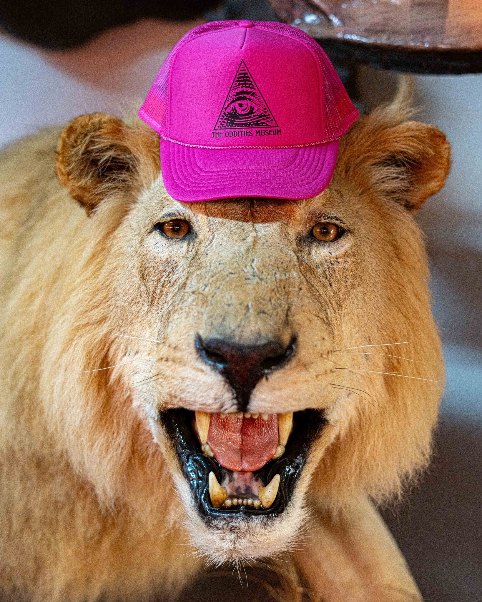 Our hats got a makeover! Now we're pretty in pink! Come grab yours today, we are open from 11am-5pm. 🩷