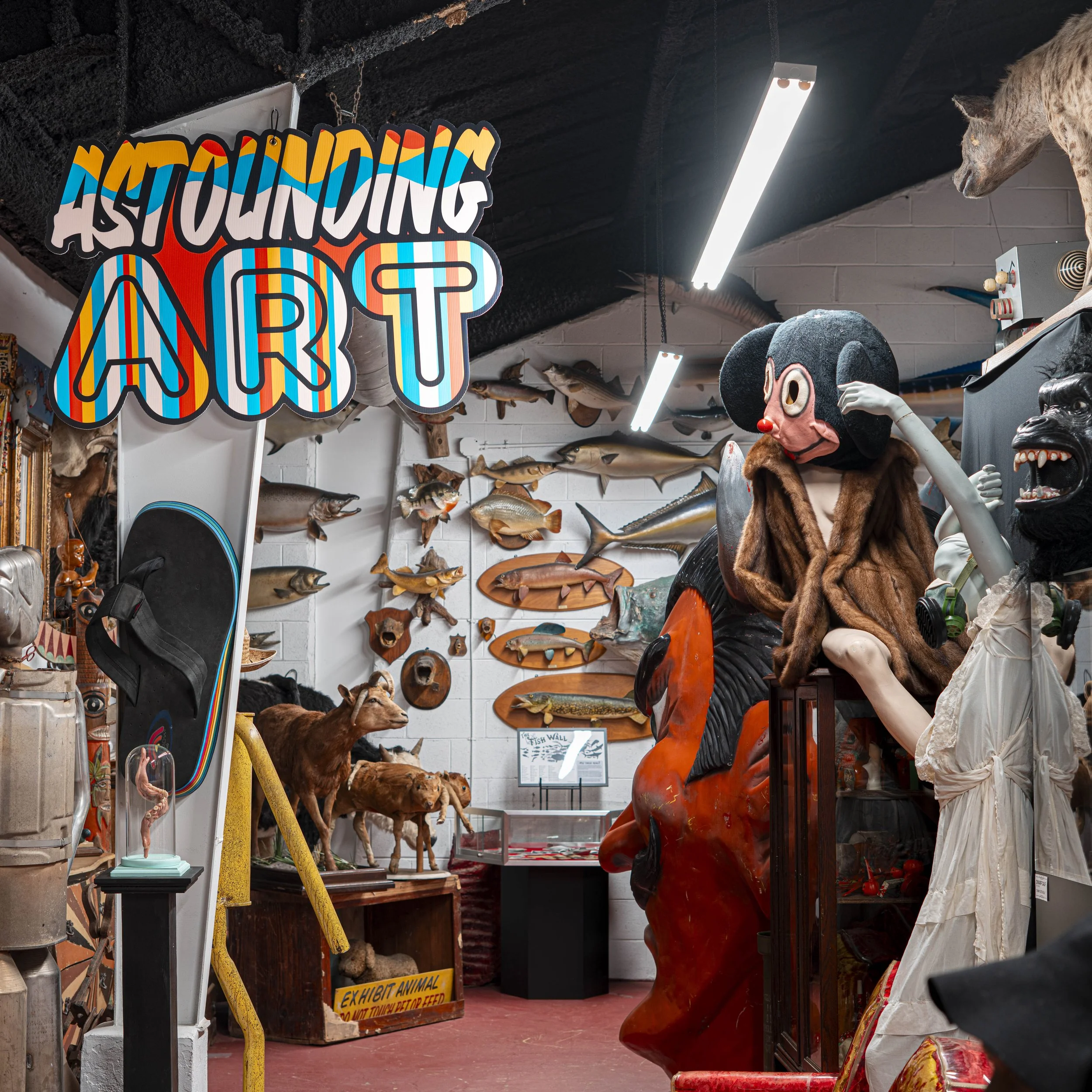A room filled with various animal mounts and taxidermy, including fish, a bear, and masks, with a colorful 'Astounding Art' sign hanging from the ceiling.