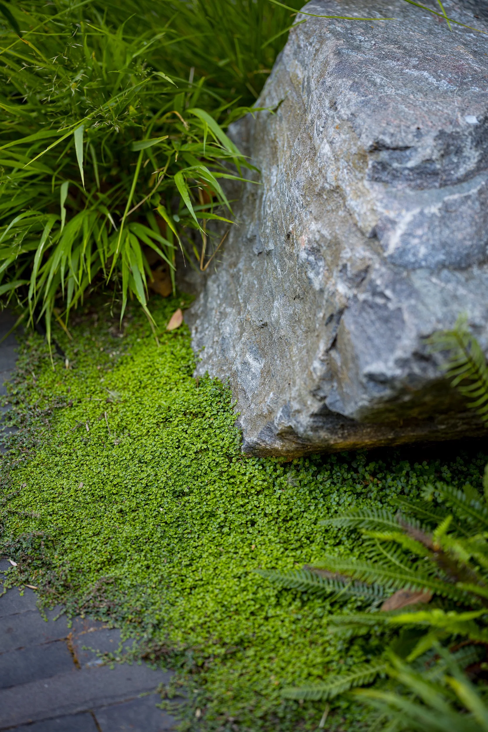 WEB_58_B0018437.jpg