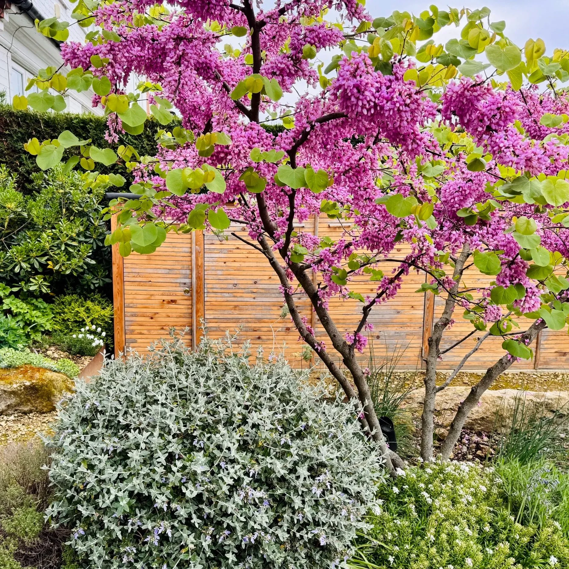 front+garden+4.jpg