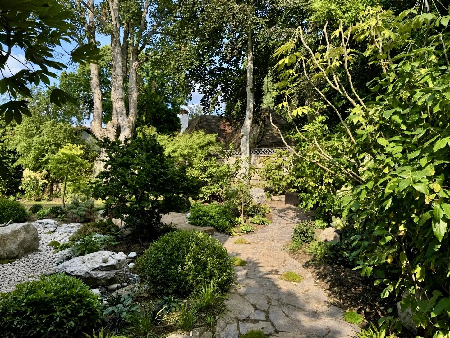 Contemporary Japanese woodland garden