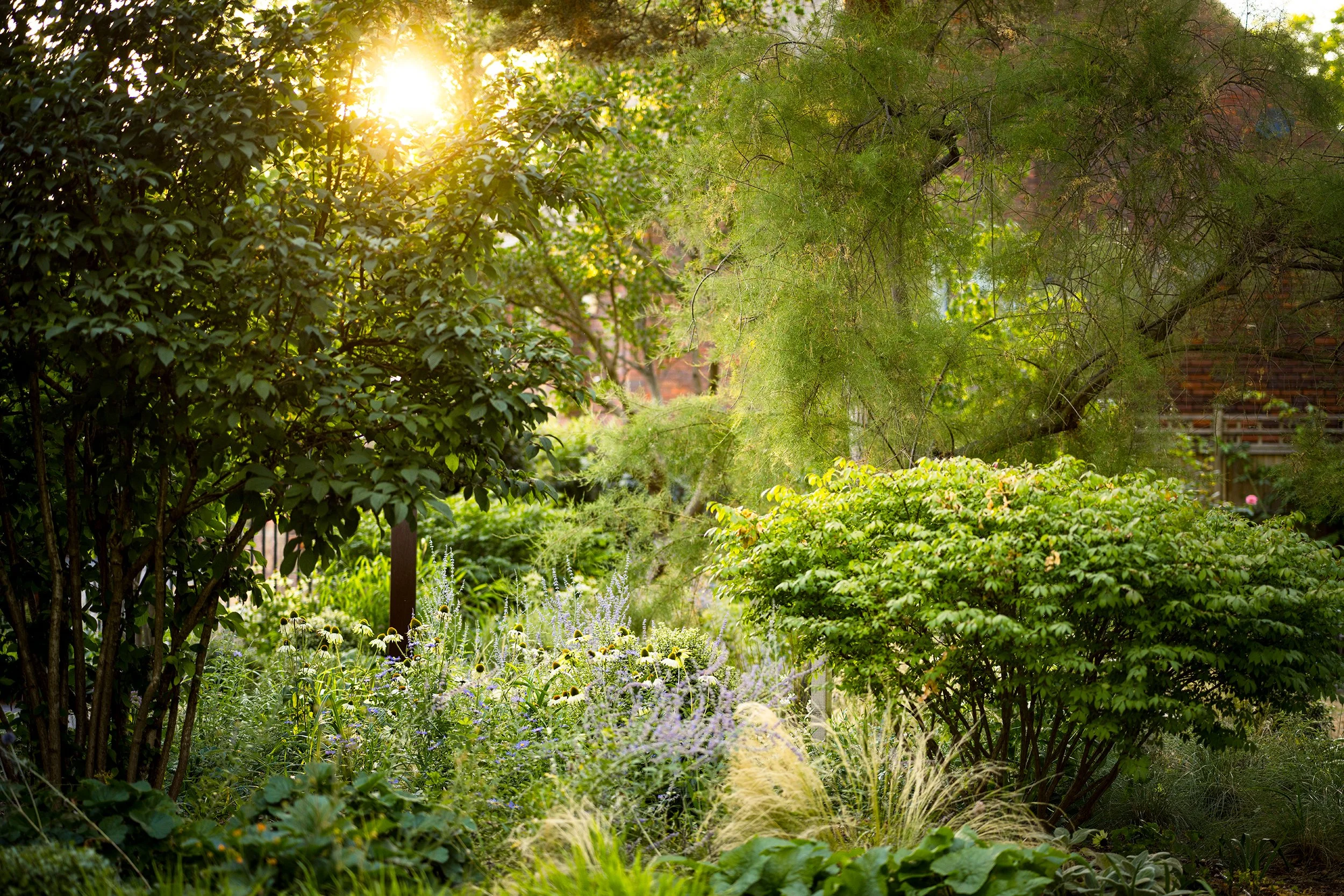 Large London garden reimagined for living, growing and reflection